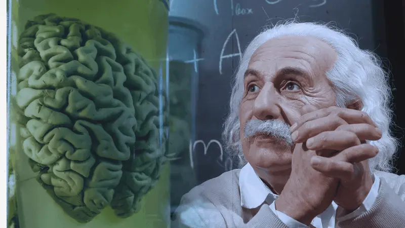 Neuro Energizer Science Behind